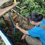 迎蜂起源於高雄醫學大學那瑪夏USR計畫，與原住民夥伴在那瑪夏打造與菲國當地蜂場的相似生態。